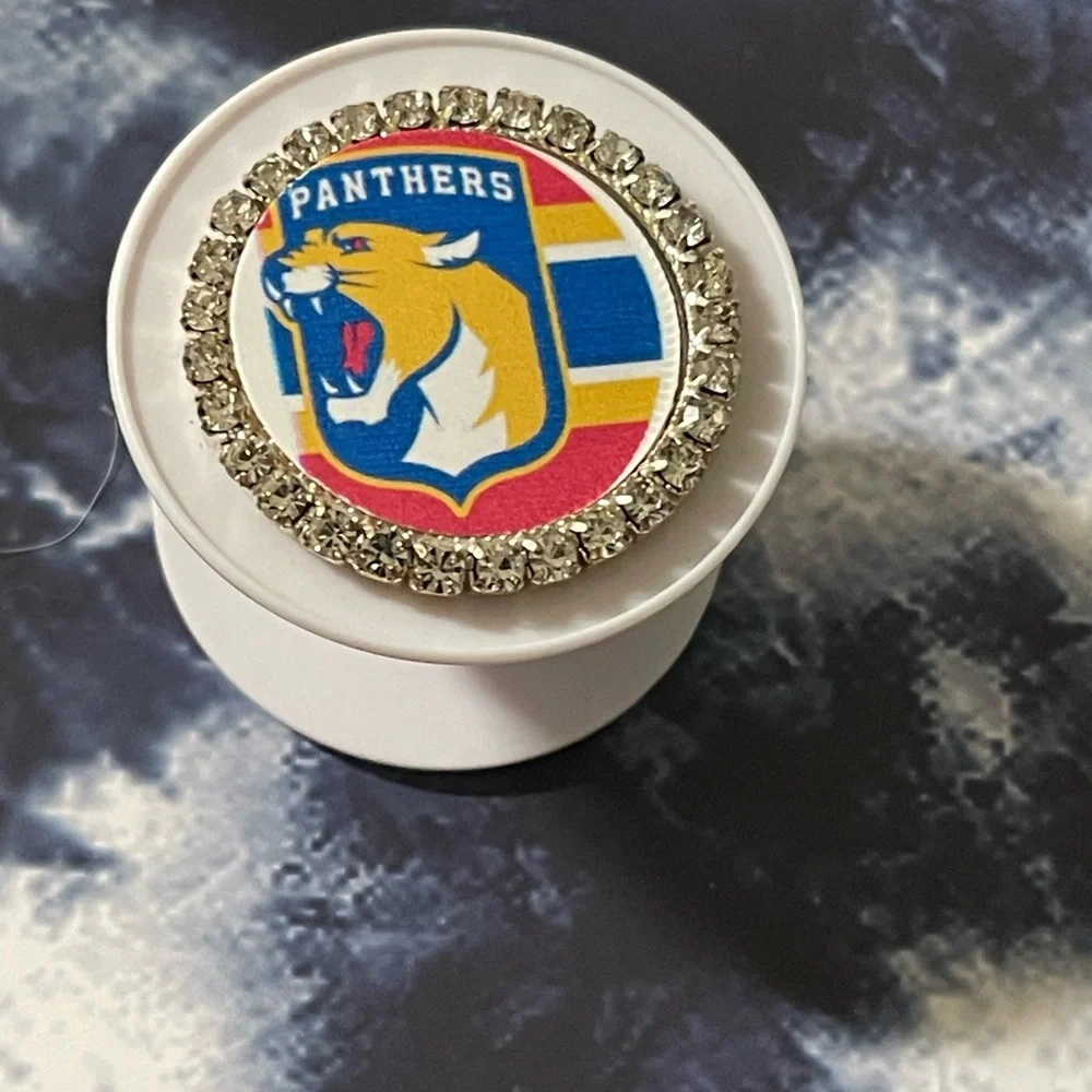 Florida panthers phone accessory